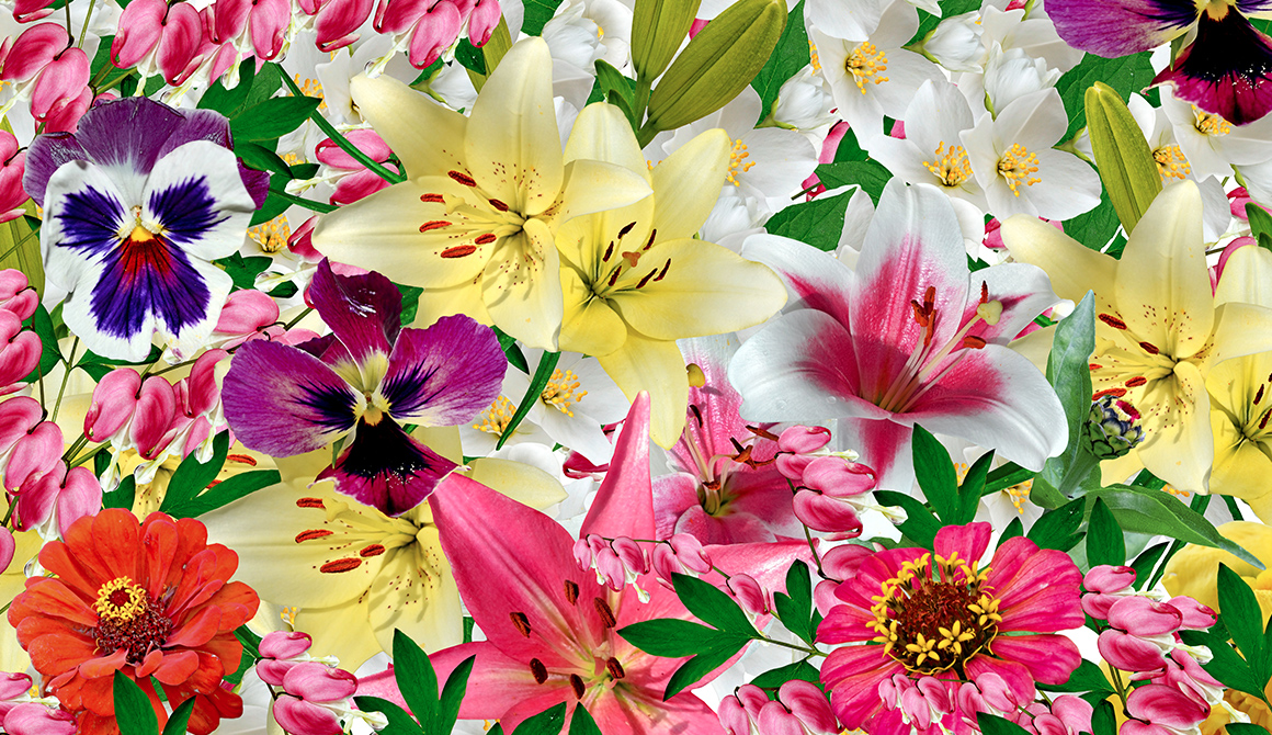 40 ans de passion florale