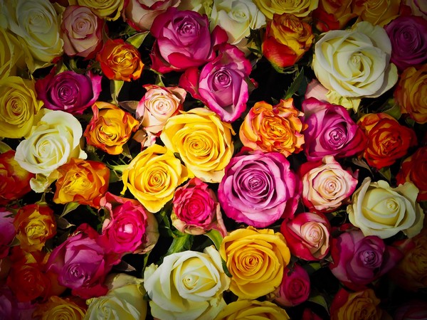 bouquet de roses variees