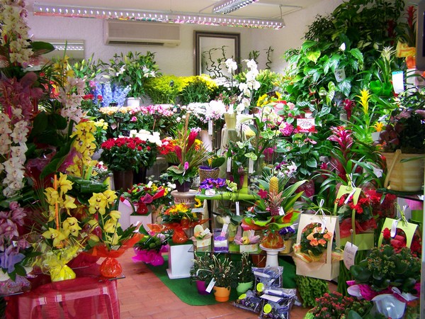 interieur magasin vergez tarnos