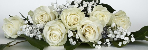 bouquet roses blanches
