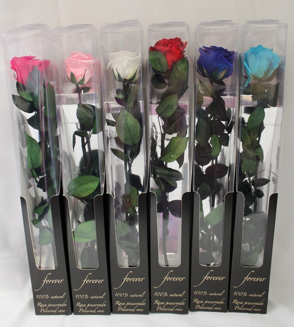 roses immortelles saint valentin