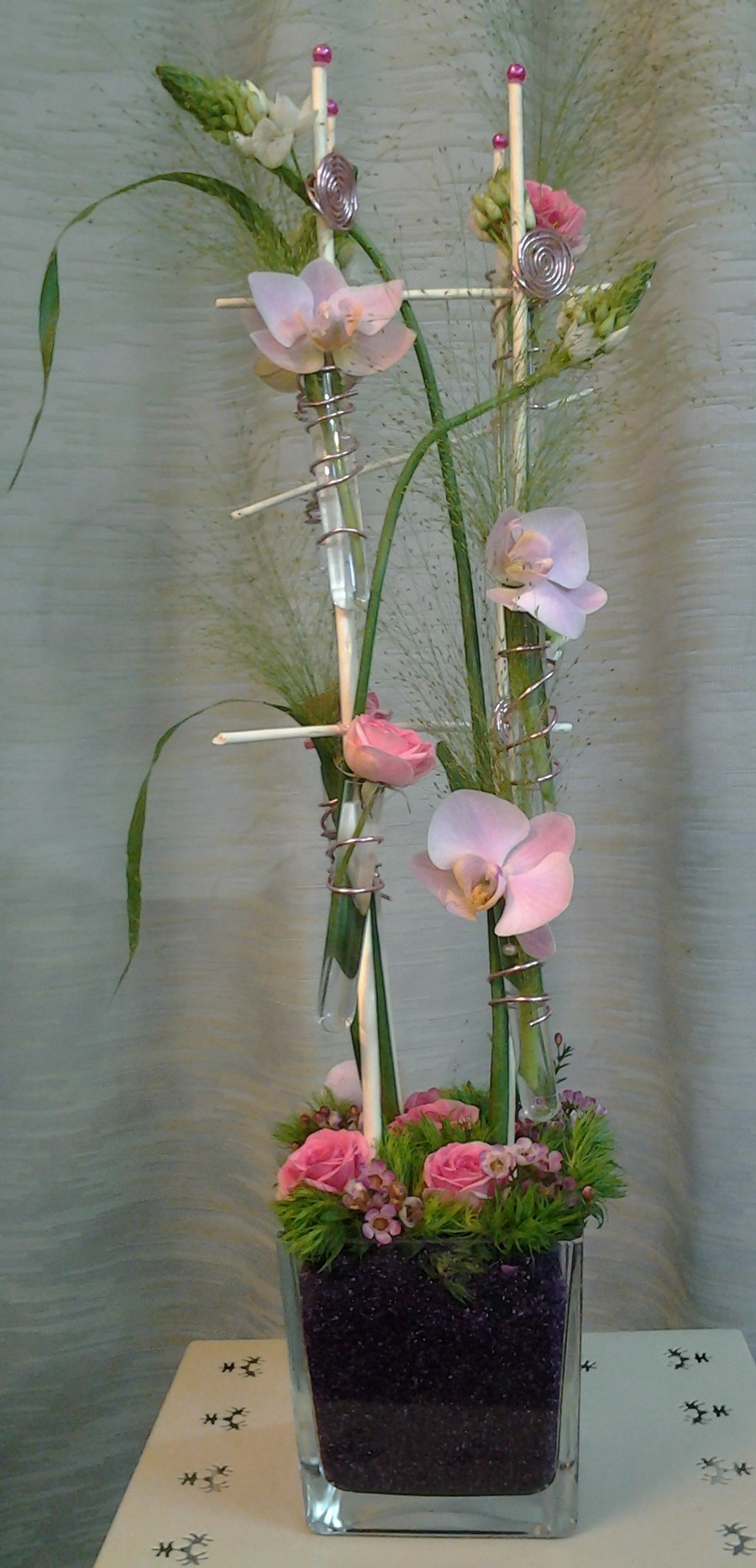 composition hauteur orchidee